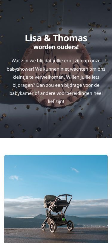 Screenshot van de gemaakte giftlijst