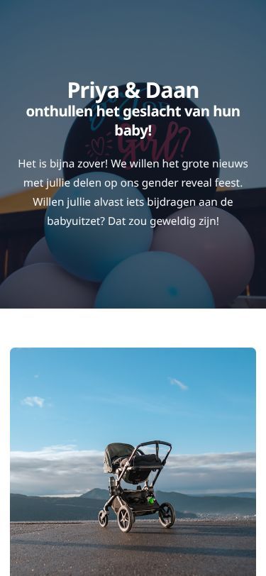 Screenshot van de gemaakte giftlijst
