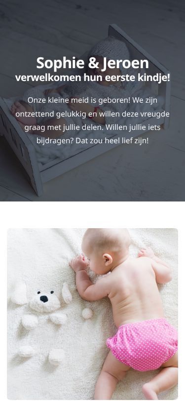 Screenshot van de gemaakte giftlijst