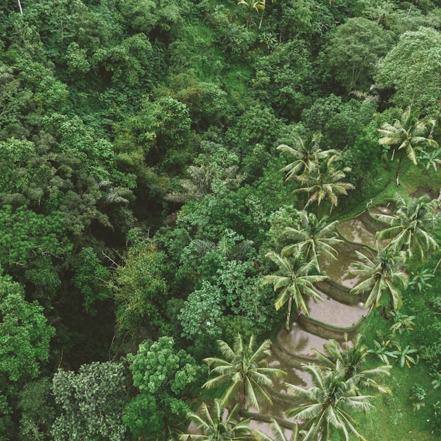 Overnachting in Bali